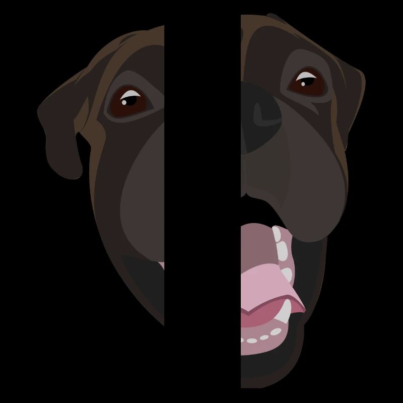 Boxer