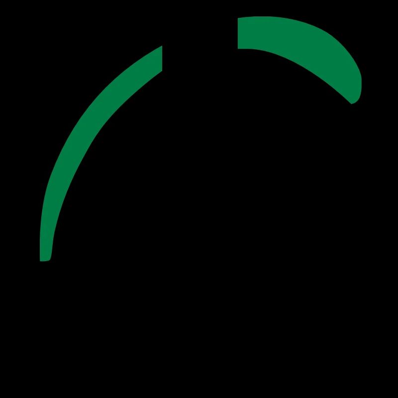 Gleitschirm /Paragleiten