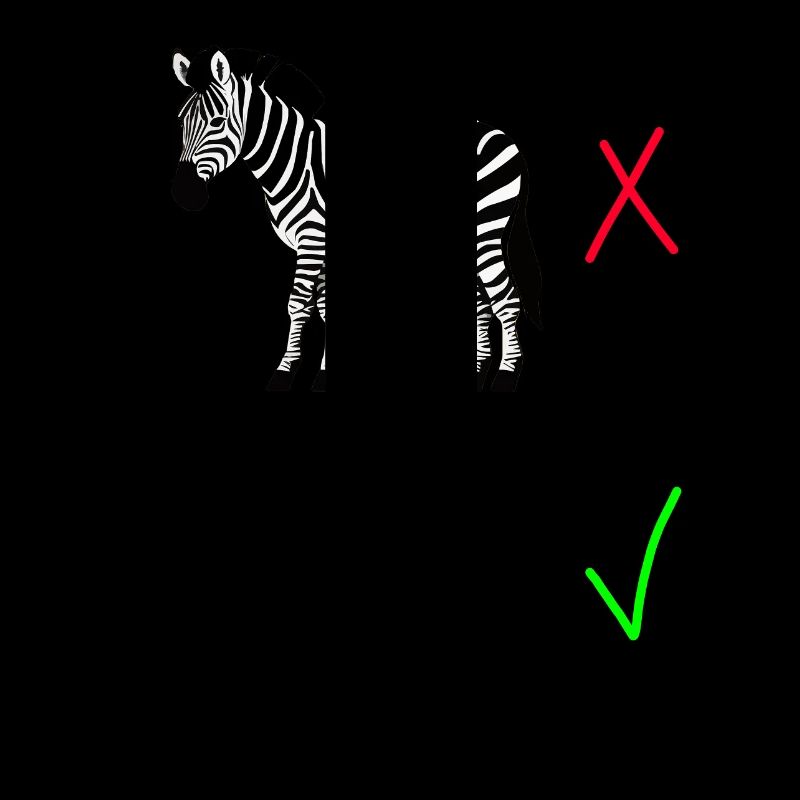 Zebra Contrast – High Quality vs. Hand-Drawn Zebra
