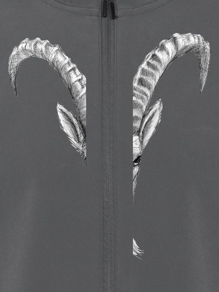 steinbock