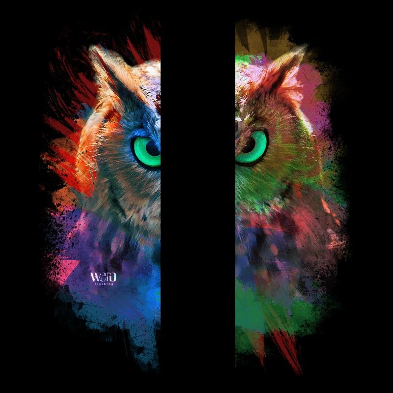 Hibou multi couleur