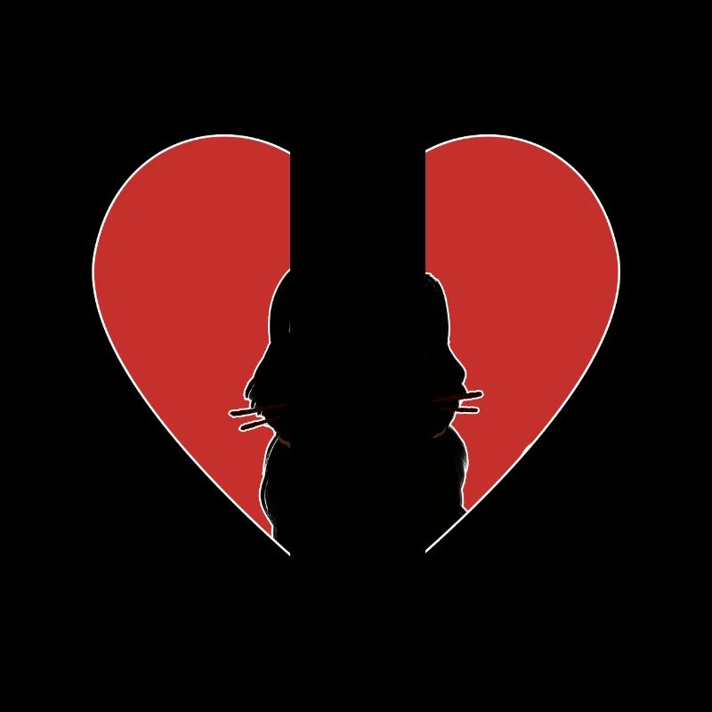 CHAT D’AMOUR POUR LA SAINT-VALENTIN TSHIRT