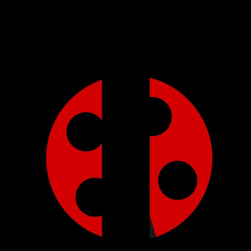 Ladybug with four black dots