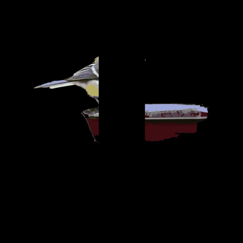 Mésanges mésanges de charbon