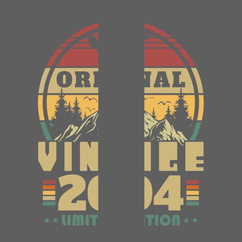 Original Vintage 2004 Retro Anniversary Gift