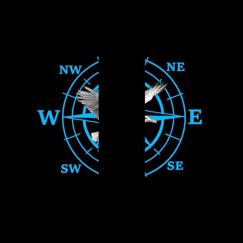 Cardinal Direction Kompas Wind Rose Seagull Maritime