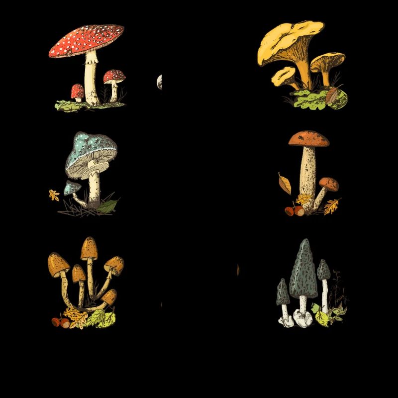 Illustrations de champignons colorés Champignon coloré