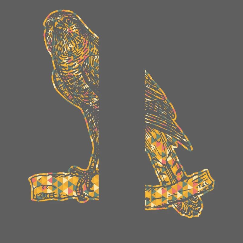 Goshawk Geometric