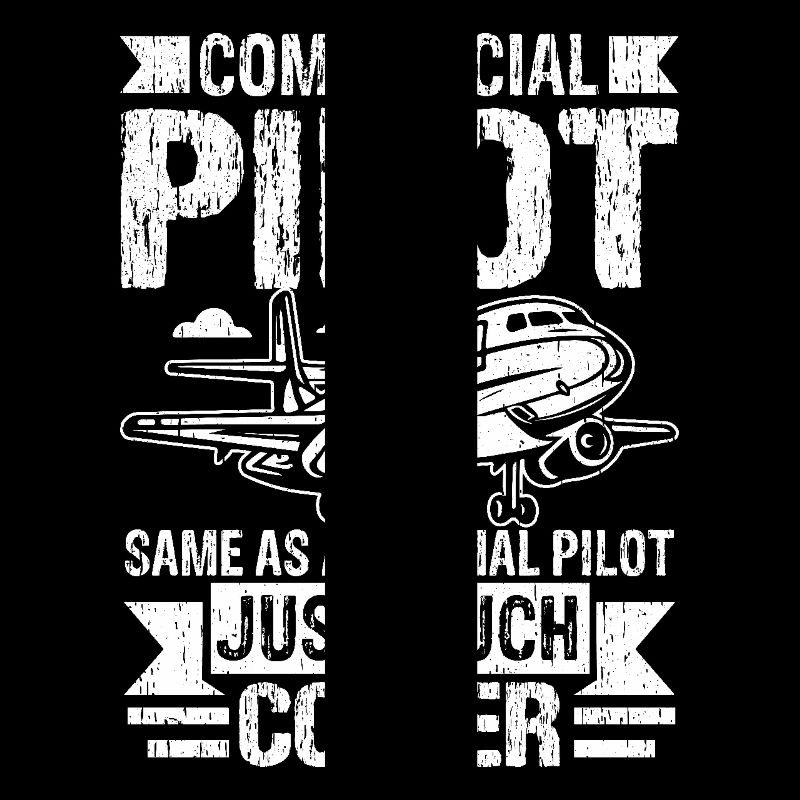 Commercial Pilot same as a normal Pilot just much