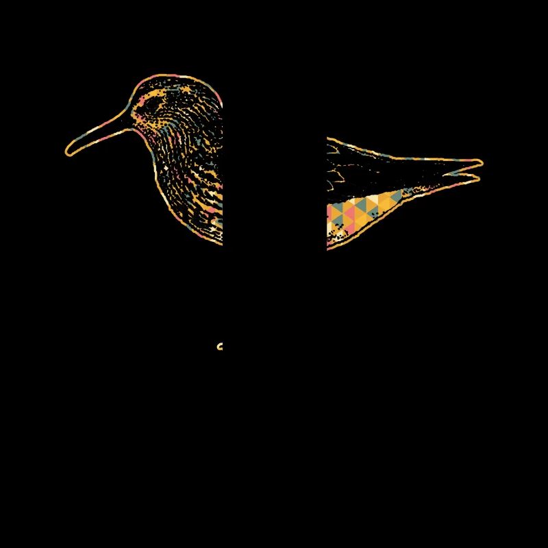 Sandpiper Geometric