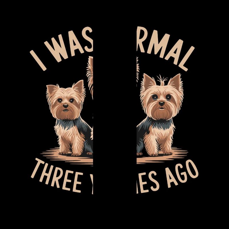 J’étais normal devant trois Yorkies Yorkshire Terrier