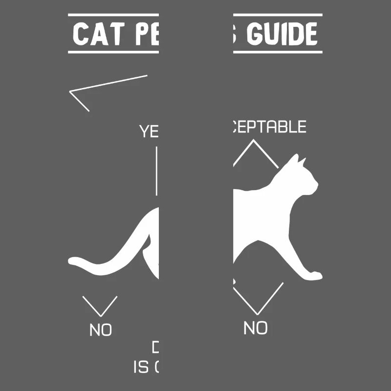 Guide de caresses pour chat