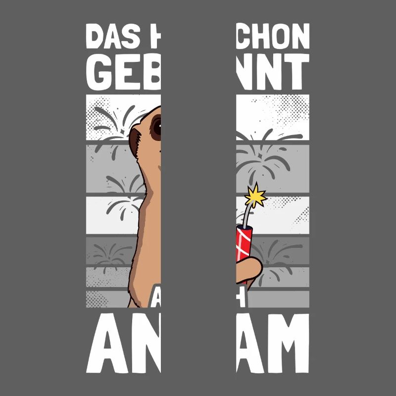 Has already burned, pyrotechnicians, fireworks, fireworks