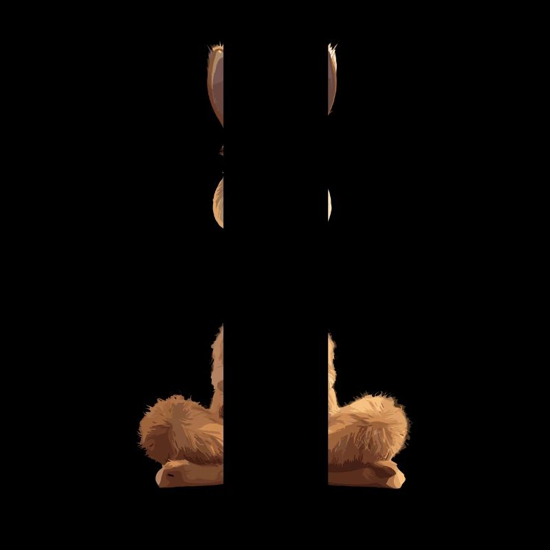 Meditating Lama for relaxation and relaxation