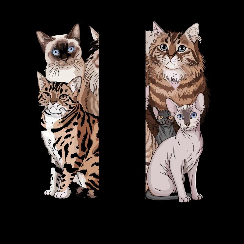 Different cat breeds illustration