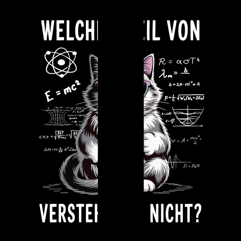 Welchen Teil von Quanten Physik vestehst du nicht