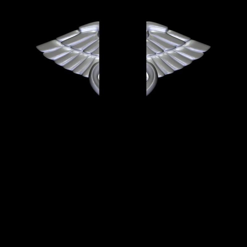doc243