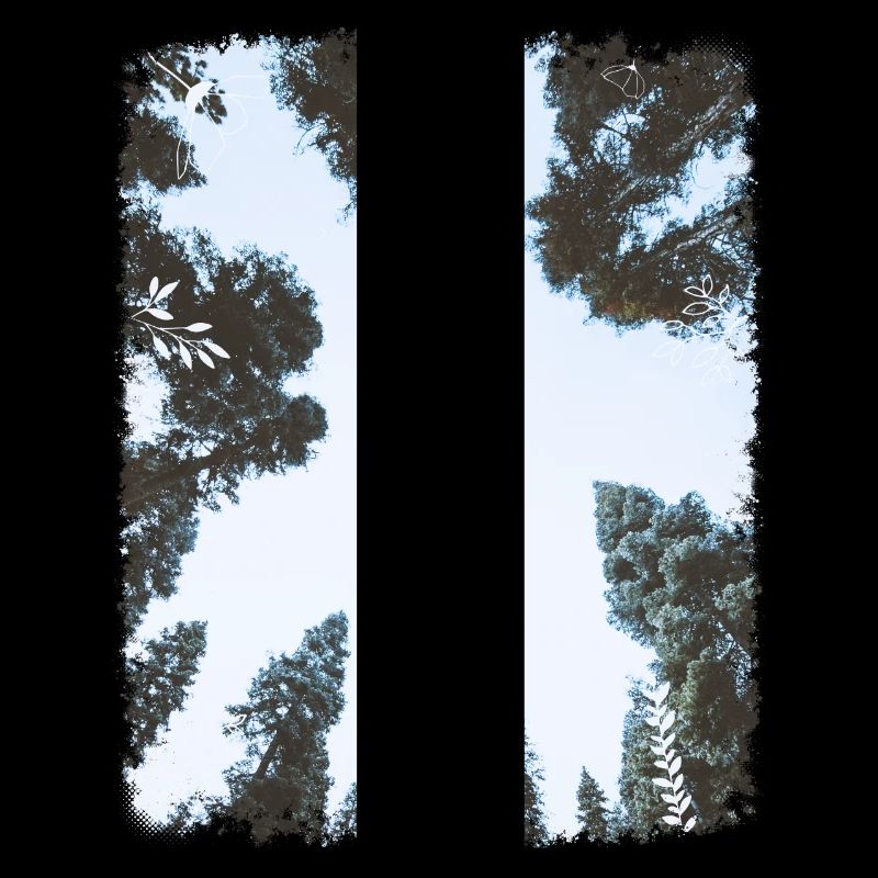 Wald & Flugzeug