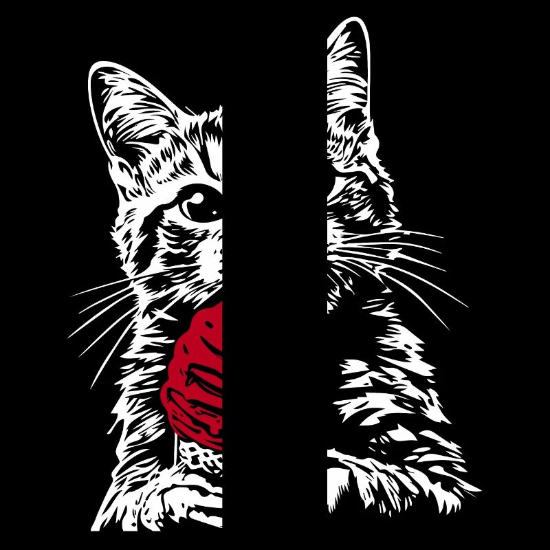 Glace Funny Cat