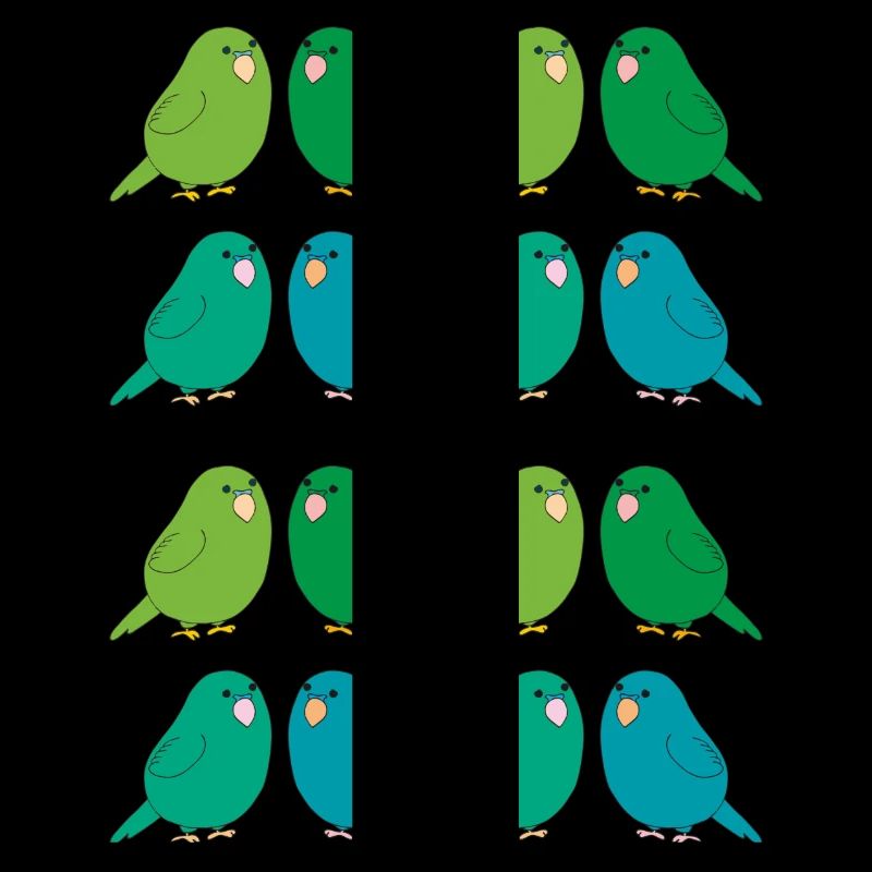 Budgie Group