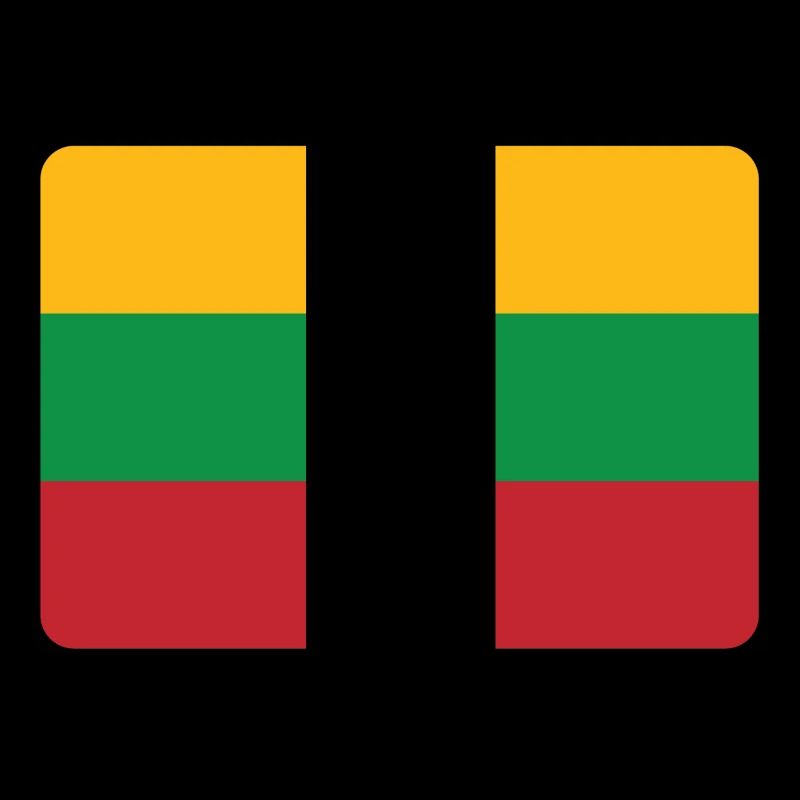 LITHUANIA IS NO. 1