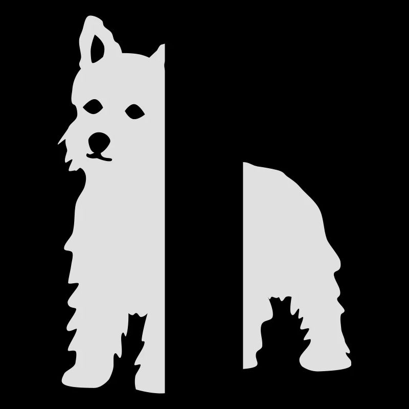 West Highland Terrier / Westie