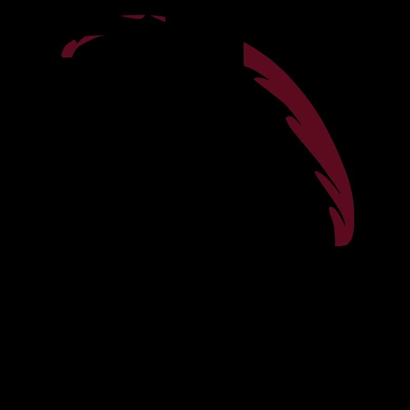 Gleitschirm Praglider