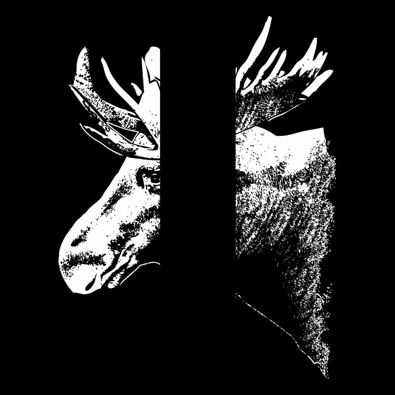 Elch - Moose