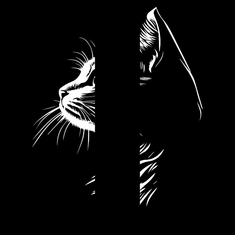 Silhouette de chat