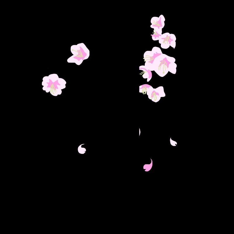 Cherry Blossoms