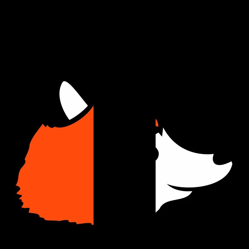 Fuchs Rotfuchs Wildes Tier Schlauer Wald Bewohner