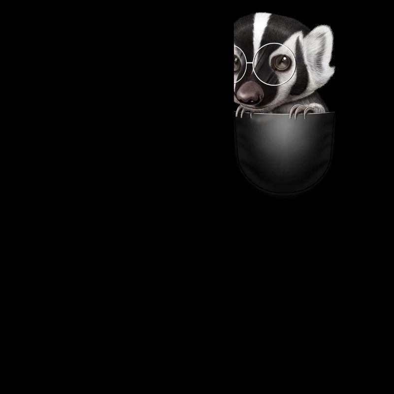 BADGER DE POCHE