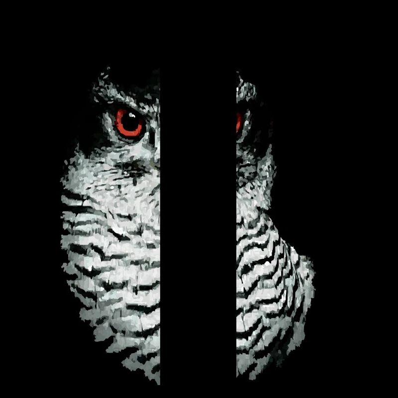 Greifvogel-01