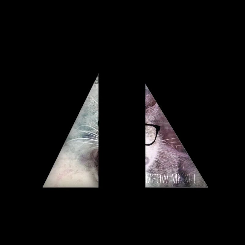 Triangle Monster Moustache Cat