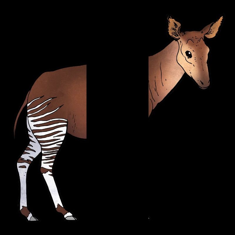 Okapi 02