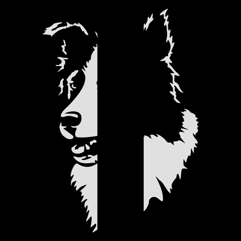 Border Collie ohne Text