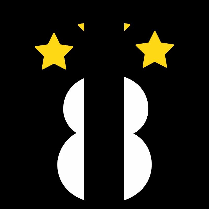 8 Year Star - 8th Anniversary Gift