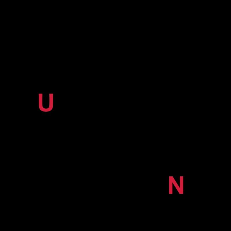 A horse that has four-legged friends