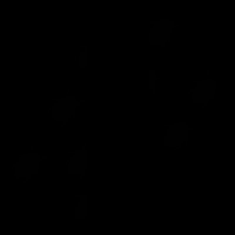 käfer