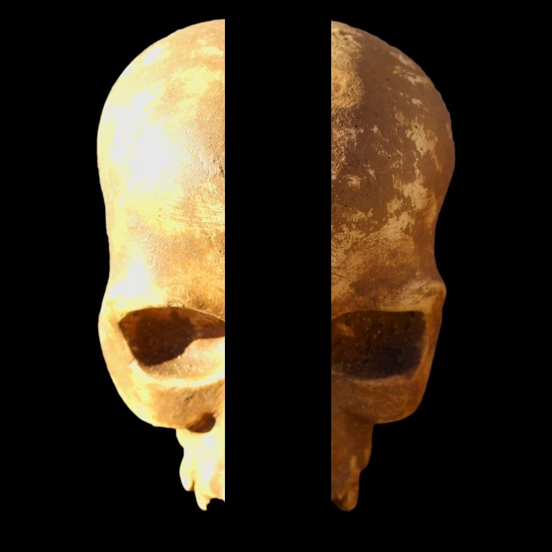 Skull background