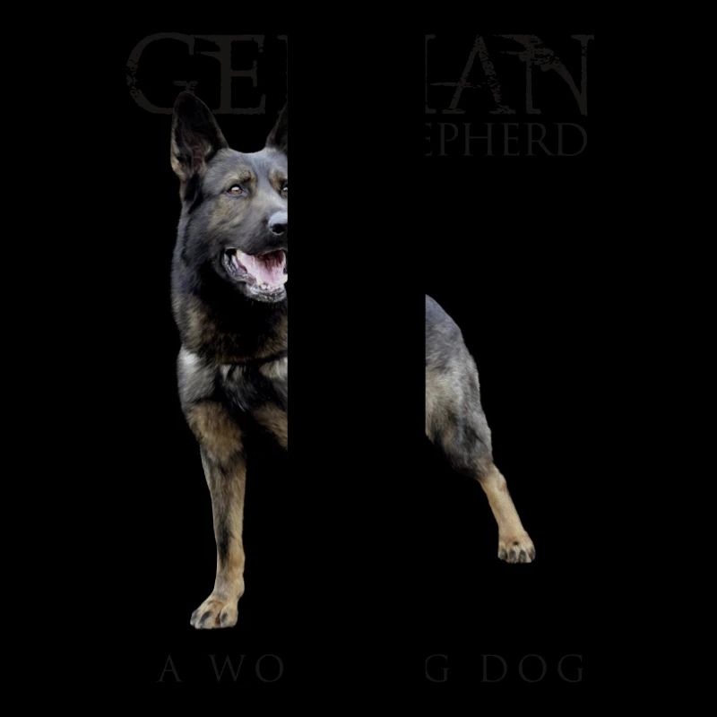 German Shepherd Dog