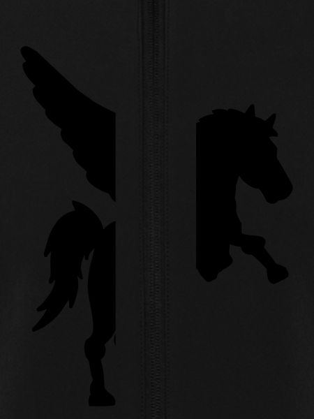 Pegasus