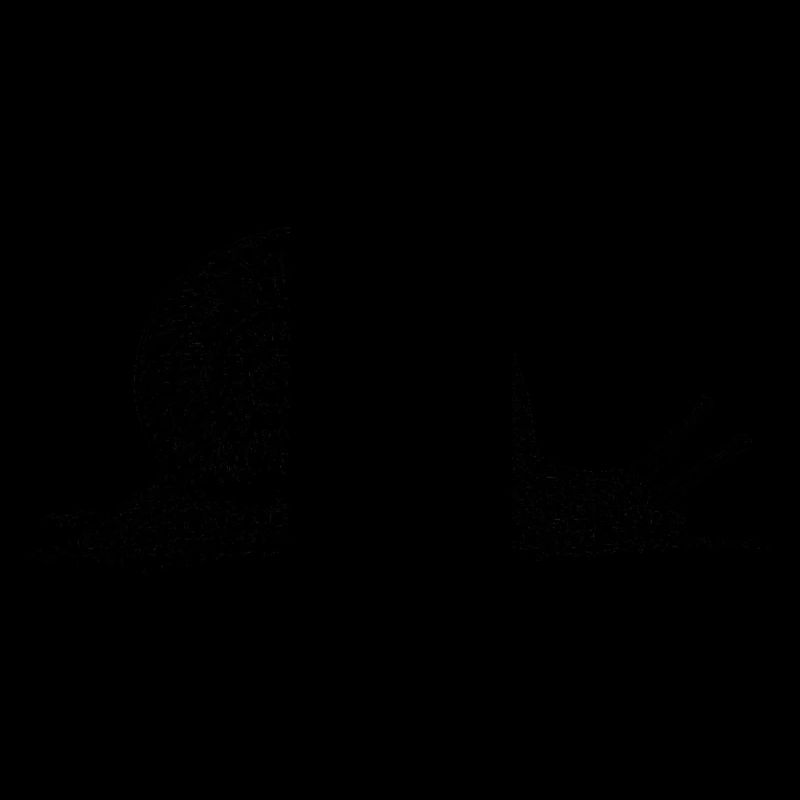 escargot noir et withe