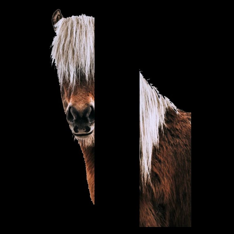 Cheval