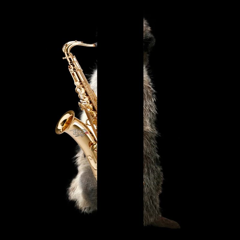 Erdmaennchensax