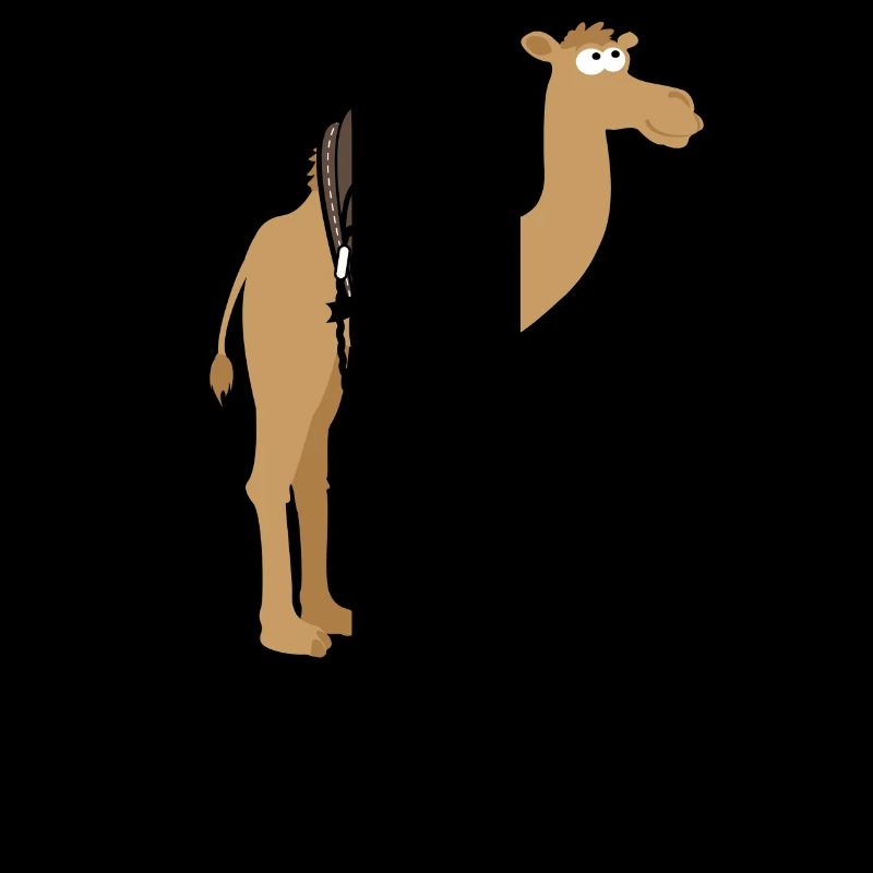 Dromadus Kitus Dakhla