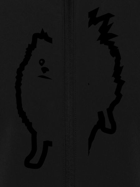 Spitz