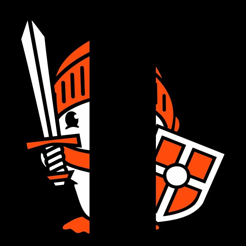 Duck Knight Armor Épée Bouclier Casque Combattant