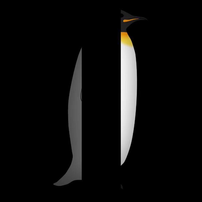 Kaiserpinguin steht