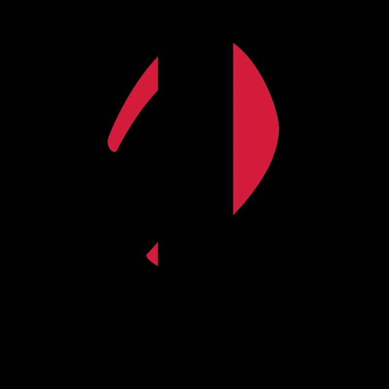 i_kite_kite_vec_2 en